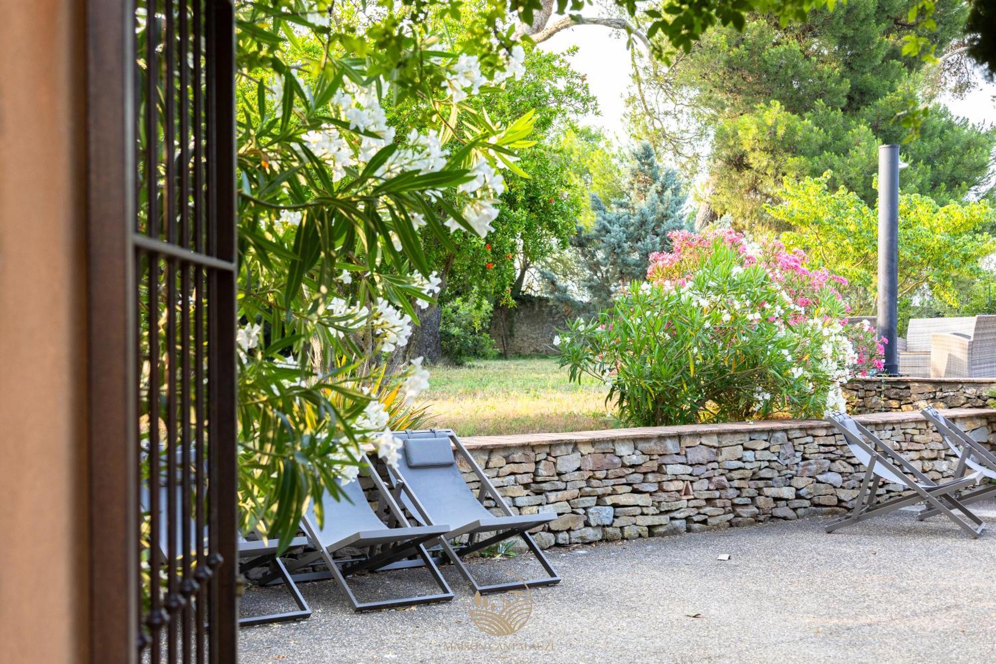 Maison Cantalauze - Pays Cathare - Carcassonne - Canal Du Midi Trèbes Eksteriør billede