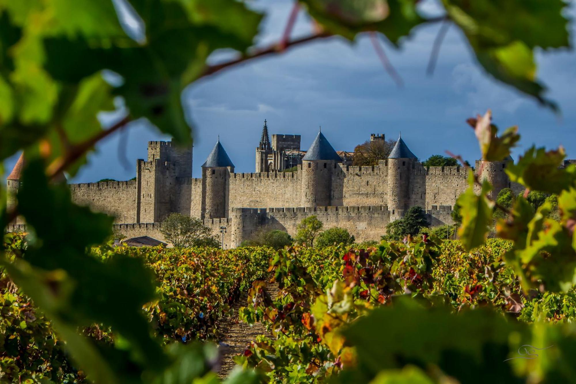 Maison Cantalauze - Pays Cathare - Carcassonne - Canal Du Midi Trèbes Eksteriør billede